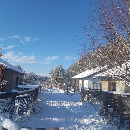 Chatki u Patki Lebieniec Bagian luar foto
