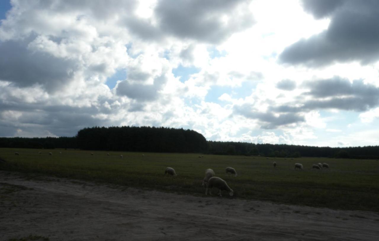 Chatki u Patki Lebieniec Bagian luar foto