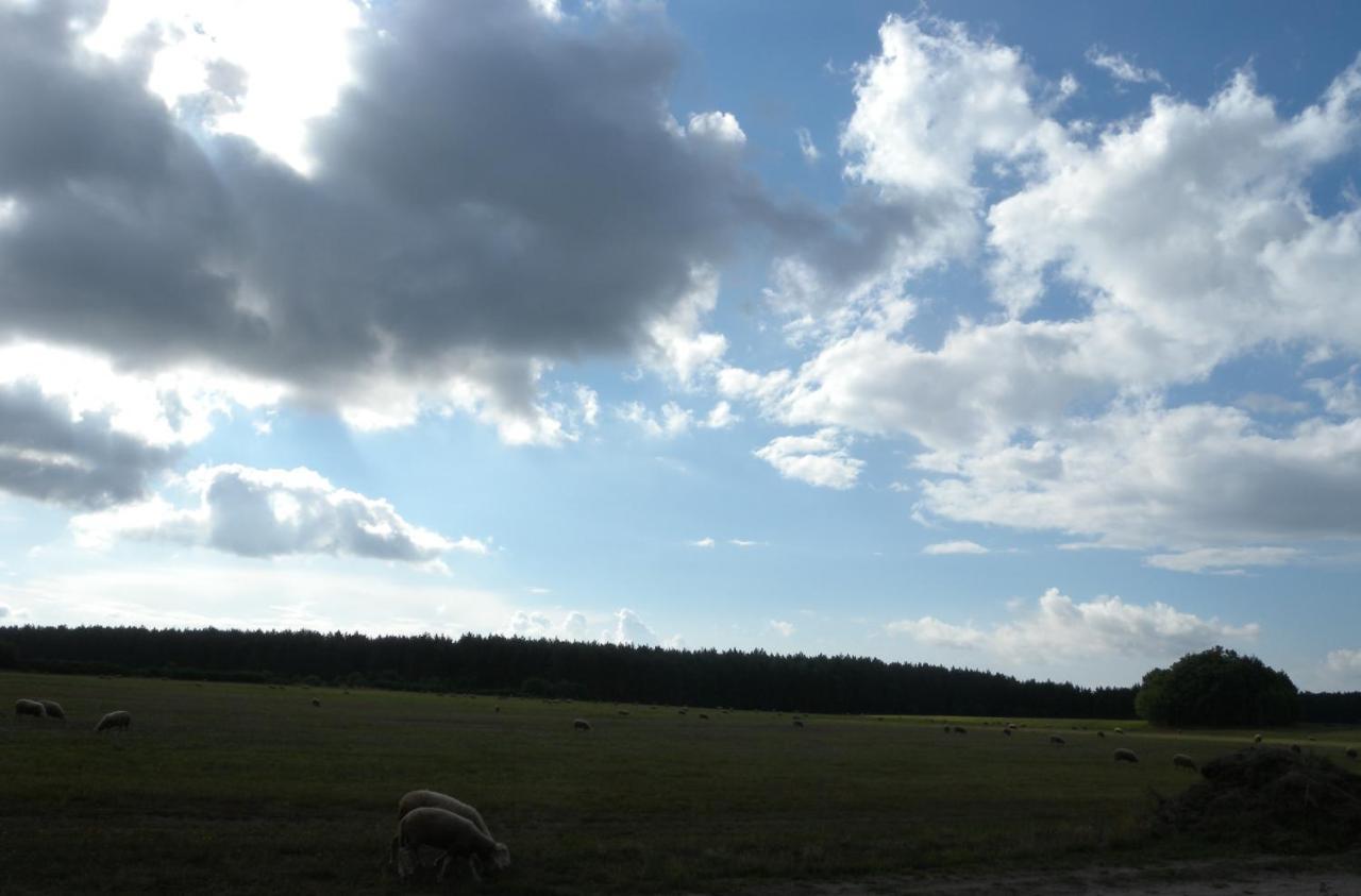 Chatki u Patki Lebieniec Bagian luar foto