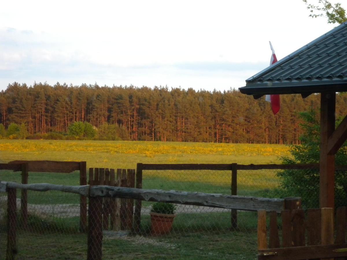 Chatki u Patki Lebieniec Bagian luar foto